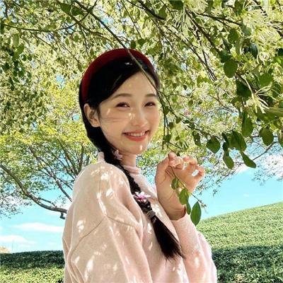 木兰花